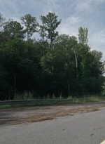 twd0804-1869.jpg