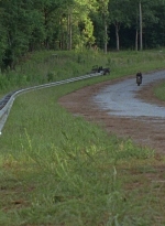 twd0804-2003.jpg