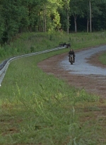 twd0804-2007.jpg