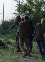 twd0804-2082.jpg