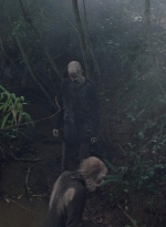 twd0804-2131.jpg