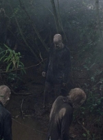 twd0804-2132.jpg