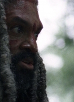 twd0804-2136.jpg