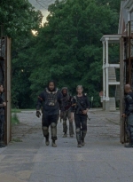 twd0804-2299.jpg