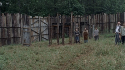 twd0806-1461.jpg