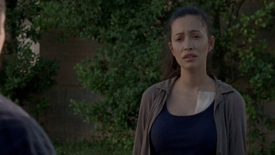 twd0806-1998.jpg