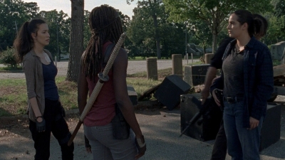 twd0806-2009.jpg