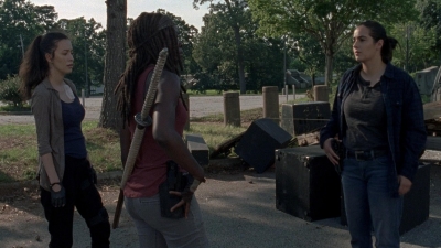 twd0806-2010.jpg