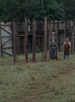 twd0806-1460.jpg