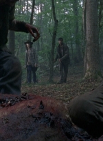 twd0806-1620.jpg