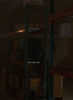 twd0806-1799.jpg