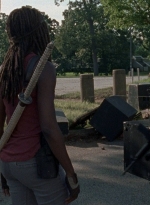 twd0806-2009.jpg