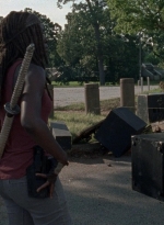 twd0806-2010.jpg