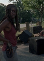 twd0806-2011.jpg