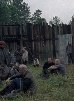 twd0806-2323.jpg