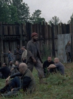 twd0806-2325.jpg