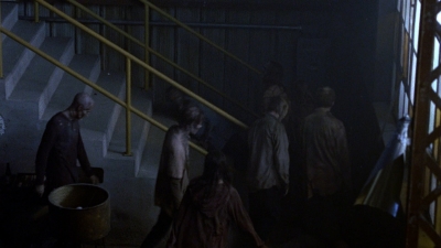 twd0807-1985.jpg