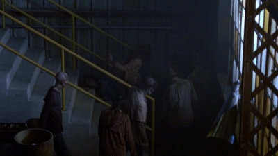 twd0807-1986.jpg