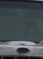 twd0807-1905.jpg