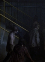 twd0807-1985.jpg