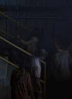 twd0807-1986.jpg