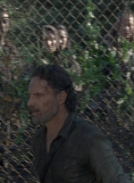 twd0807-2588.jpg