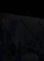 twd0808-1442.jpg