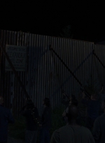 twd0808-1443.jpg