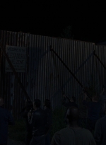 twd0808-1445.jpg