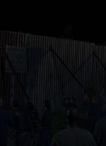 twd0808-1446.jpg