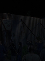 twd0808-1447.jpg