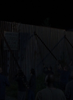 twd0808-1448.jpg