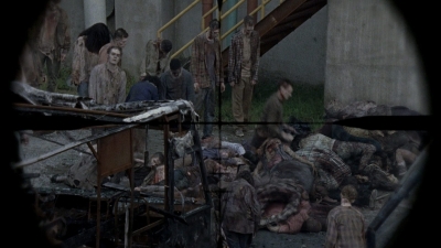 twd0809-0535.jpg