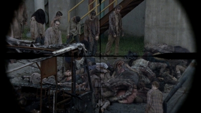 twd0809-0537.jpg