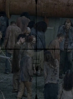 twd0809-0469.jpg