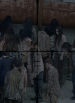 twd0809-0477.jpg