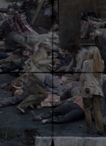 twd0809-0532.jpg