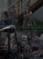 twd0809-0534.jpg