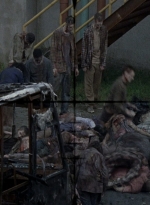 twd0809-0535.jpg