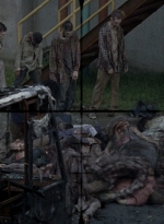 twd0809-0537.jpg