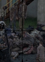 twd0809-0538.jpg