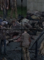 twd0809-0540.jpg