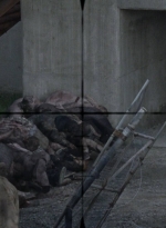 twd0809-0558.jpg