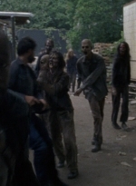 twd0809-0630.jpg