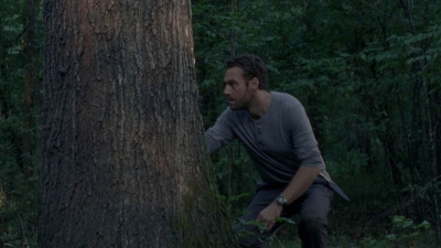 twd0810-1138.jpg