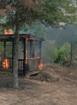 twd0810-0267.jpg