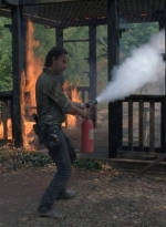 twd0810-0272.jpg