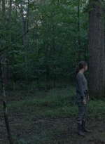 twd0810-1040.jpg