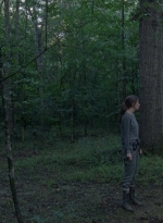twd0810-1041.jpg