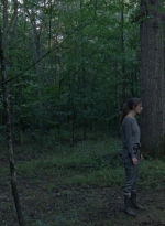 twd0810-1044.jpg
